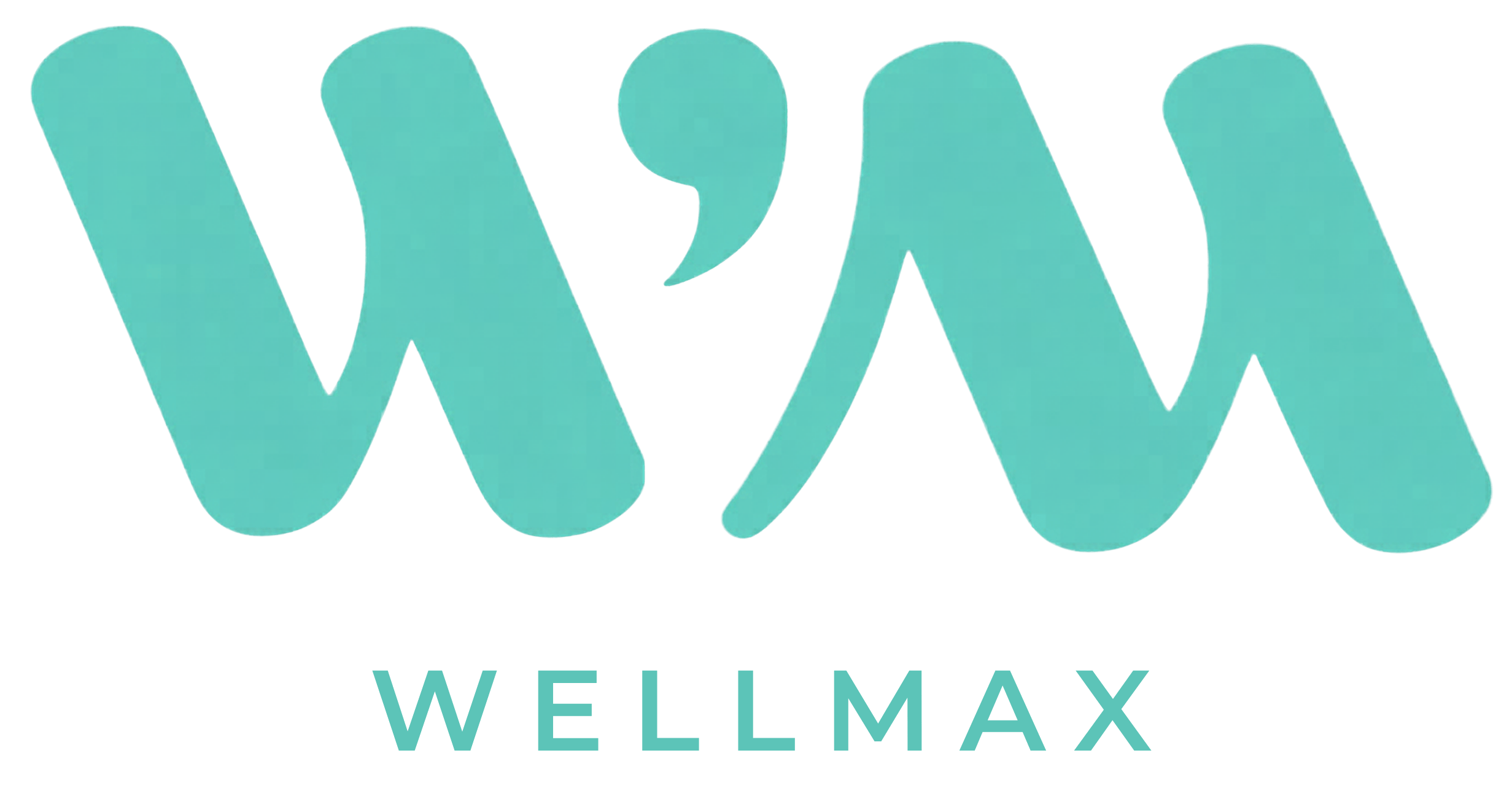 WELLMAX WM